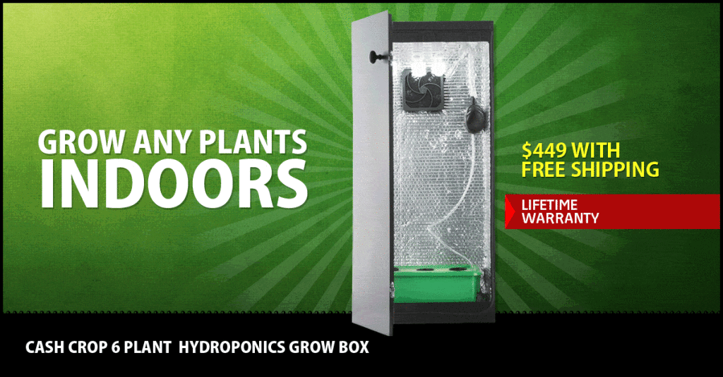 hydroponics1200
